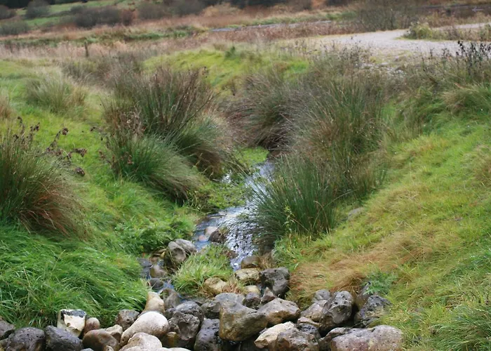 Mejrup Bed and breakfast 2*