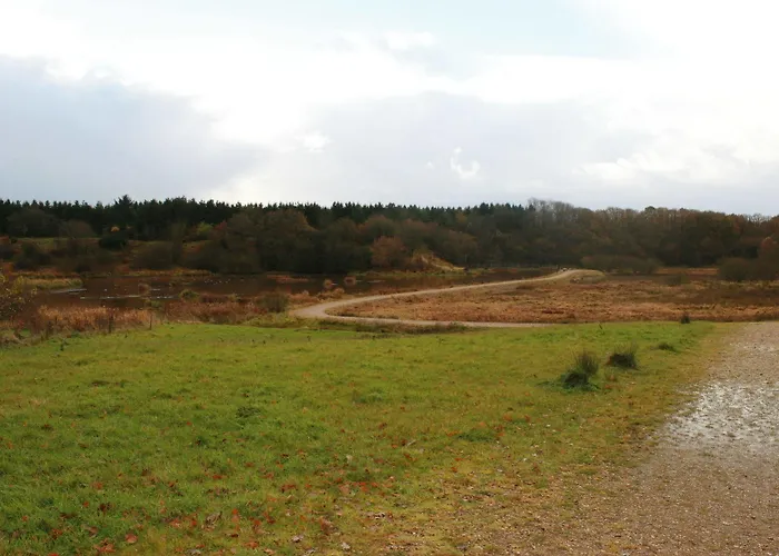 Bed and breakfast Mejrup