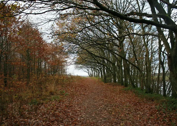 Bed and breakfast Mejrup Holstebro