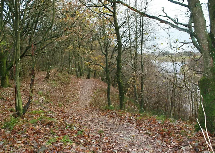 Bed and breakfast Mejrup 2*